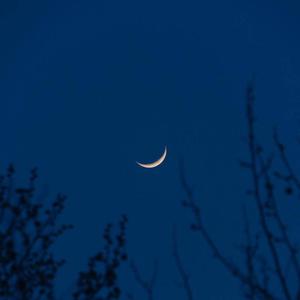 小光头山口诚吃雪糕
